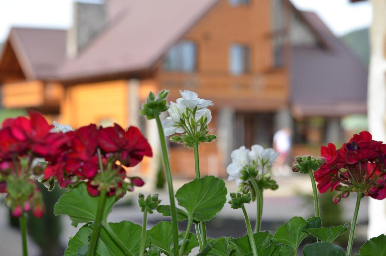 Hotel Sribni Rosy à Mykulychyn Extérieur photo